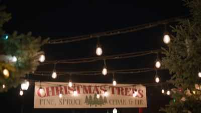 (♪ melodic music ♪) - Holiday Hotline