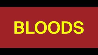 (melodic upbeat music) - Bloods