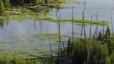 Melting snow and falling rain
have revived the marsh. - Epic Yellowstone
