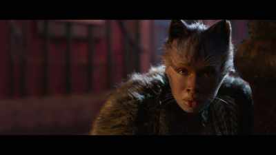 ♪ Memory ♪ - Cats