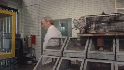 Men aren't rats - The Ruling Class