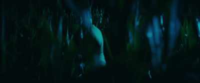 (men chattering) - The Animal Kingdom
