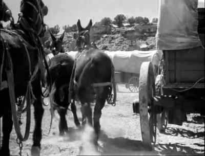Men, I need some teams! - Westward the Women