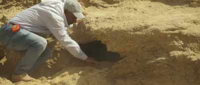 [men speaking Arabic] - Secrets of the Saqqara Tomb