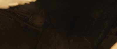 [men speaking Arabic] - Secrets of the Saqqara Tomb