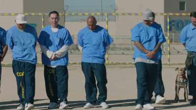Men and women in prison, 64% of them - The Wisdom of Trauma