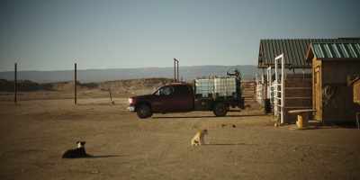 Mental abuse, physical abuse, - Navajo Police: Class 57