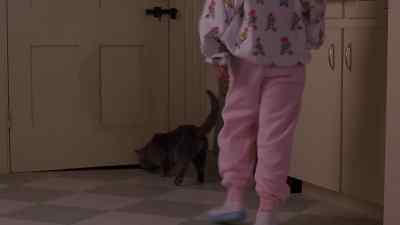 [meow] - Pet Sematary