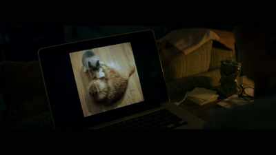 [MEOWING] - Sorry, Charlie