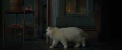 [meowing] - The Woman in the Window