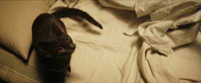 [meowing] - Into the Labyrinth