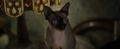 -[meows]
-It is very important that he writes. - Nightbooks
