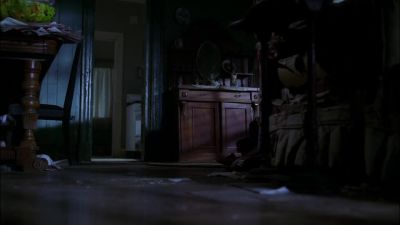 [ meows ] - CSI: Crime Scene Investigation