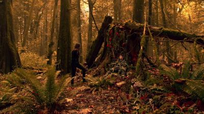 Mercy. - The 100
