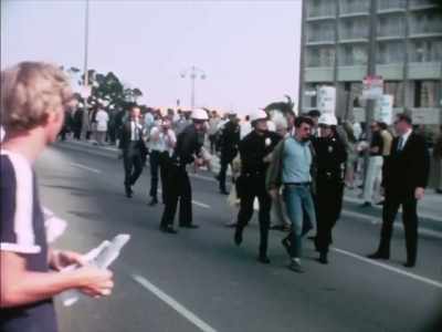 Merely to be bizarre in strategic spots - The Lady Bird Diaries