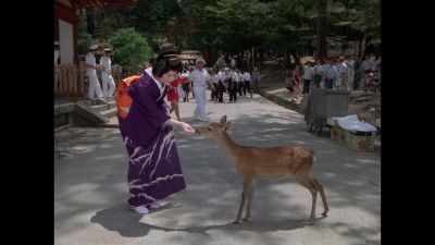 Merrill: Ah, deer. - The Love Boat
