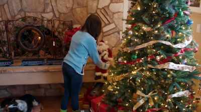Merry Christmas.
Merry Christmas. - Pups Alone