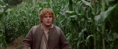Mr Frodo Frodo Frodo I thought I'd lost you What are you talking about It's something Gandalf said What did he say Don't you lose him Samwise Gamgee And I don't mean to Sam we're still in the Shire What could possibly happen Frodo Merry it's Frodo Baggins - The Lord of the Rings: The Fellowship of the Ring