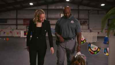 [message notification] - Jazz Ramsey: A K-9 Mystery