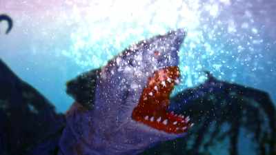 (metal creaking) - Sharkula