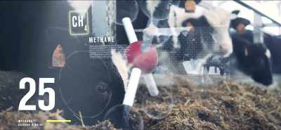 Methane is a gas
that is being produced
by cows when they belch. - Eating Our Way to Extinction