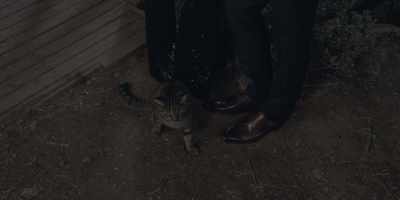 -[mews]
-[Daisy and Louis laugh] - Under the Vines