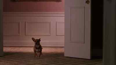 Mi amor, you can soak
as long as you want. - Beverly Hills Chihuahua 2