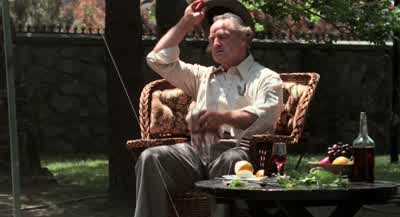 - मी हे पाणी शकता का? - The Godfather