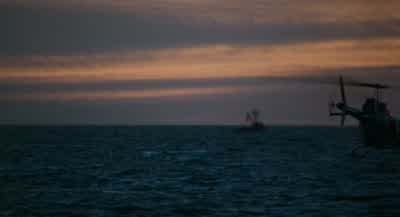 Mia... the coast is cIear. - The Princess Diaries