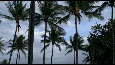 Miami was the only place - Blood Brothers: Malcolm X and Muhammad Ali