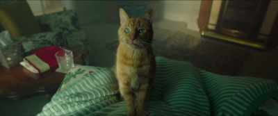 (MIAOWS) - Arthur's Whisky