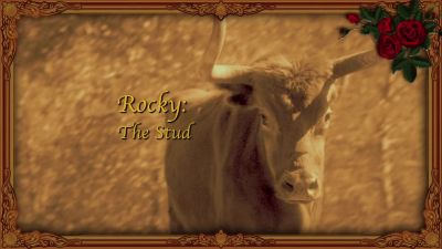 MICHAEL: He's the ranch's
prize breeding bull. - Jane the Virgin