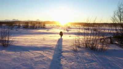 MICHAEL: I live for the moment, - Life Below Zero: Next Generation