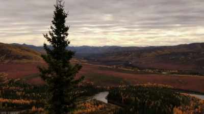 MICHAEL: This asphalt
that we put down; - Life Below Zero: Next Generation