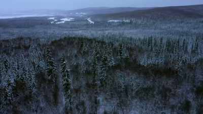 MICHAEL: This
living within my means, - Life Below Zero: Next Generation