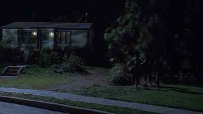 Michael, wait up. Michael. - Jack the Bear