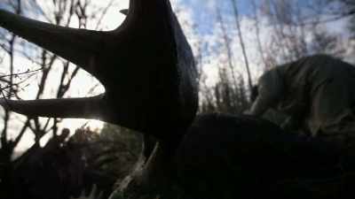 MICHAEL: You know, some folks,
they're born on a certain river, - Life Below Zero: Next Generation