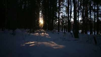 MICHAEL: You know,
when I was five years old, - Life Below Zero: Next Generation