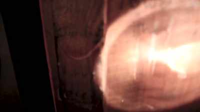 Michelle, spelled with an "S" and an "H". - The Lost Footage of Leah Sullivan