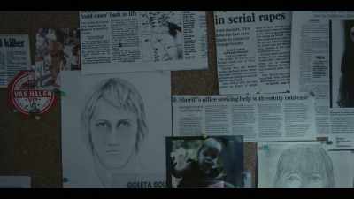 MICHELLE: When the crime labs
began incorporating DNA testing - I'll Be Gone in the Dark