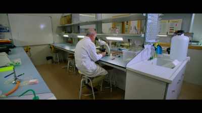 Microbial genome sequencing
started sometime in the 1990s. - Human Nature