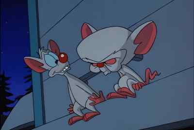"MICROSPONGE." - Pinky and the Brain