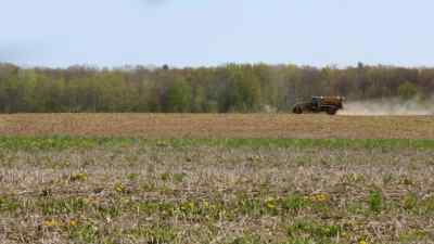 Mid-May is
an especially busy time - The Incredible Dr. Pol