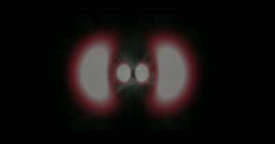 ... midway between being and non-being. - The End of Quantum Reality