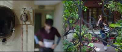 Might be artificial
or original - Love Aaj Kal