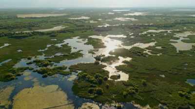 Migrating birds are drawn here
from as far away as central Africa - Seven Worlds, One Planet