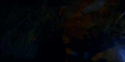 MIKE:
Ah! Stop! Stop! - Picnic at Hanging Rock