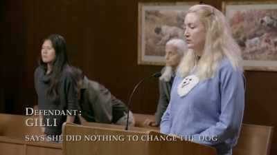 MIKE: All rise - Gary Busey: Pet Judge