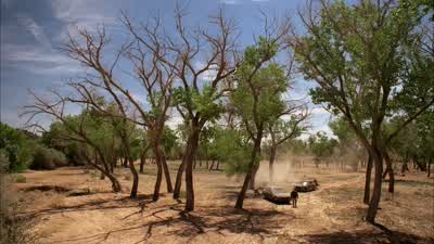 MIKE: Hello, Walter. - Breaking Bad