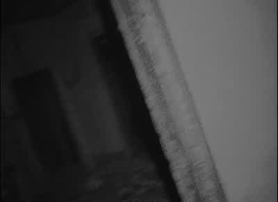 Mike. Mike? Mike! Mike, please. -Mike, where are you? -I'm right here! - The Blair Witch Project